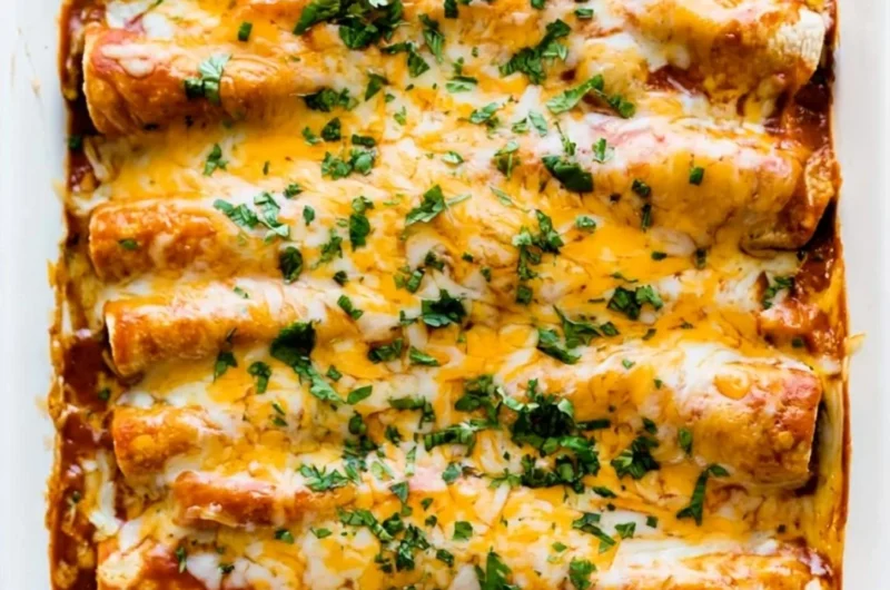 Delicious plate of easy chicken enchiladas topped with cheese and cilantro